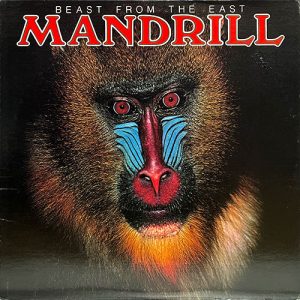 MANDRILL
