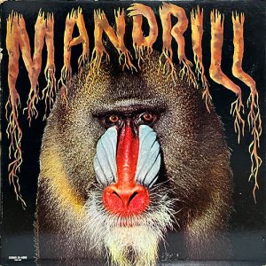 MANDRILL